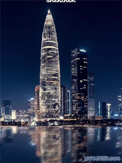 全面详细介绍深圳洋马外围预约及其独特体验